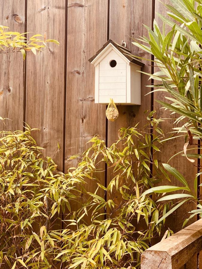 La Cabane Du Bois Arcachon Exteriér fotografie